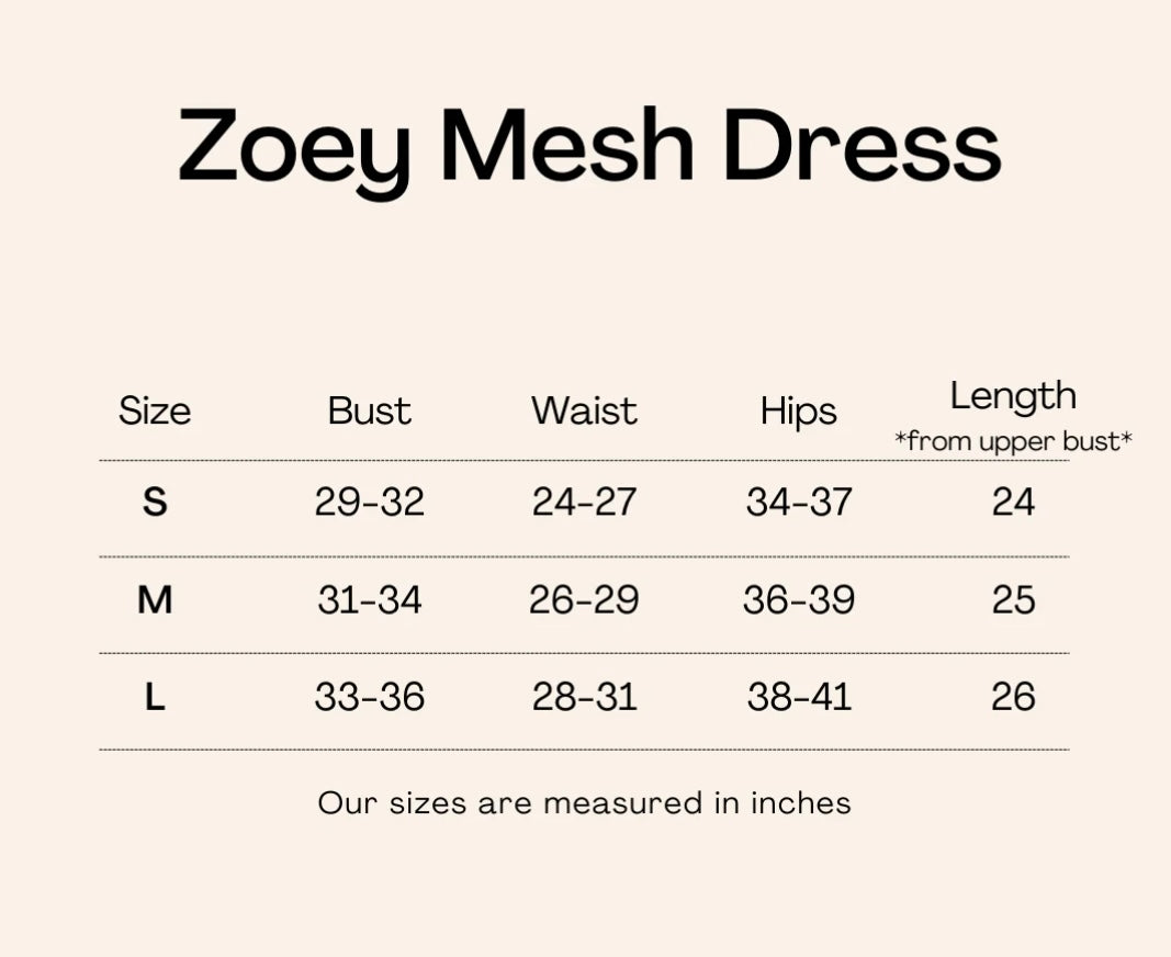 Zoey mesh dress